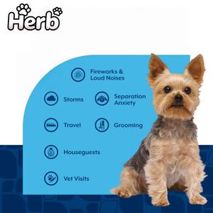 Suplemento Probiótico Masticable para Mascotas de Marca Privada OEM/ODM, Favorece la Digestión Intestinal, Aumenta la Inmunidad, Suplemento Premium para la Salud de las Mascotas - Product Image 3