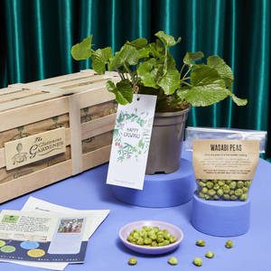<span class=keywords><strong>Prezzo</strong></span> di fabbrica la cassa Wasabi perfetto regalo in crescita per un amante della cucina <span class=keywords><strong>giapponese</strong></span> - Product Image 2