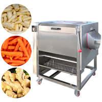 Fruit- en groenteschilmachine, aardappelschilmachine, wortelgroentewasmachine, borstelschiller voor cassave, gember, wortel