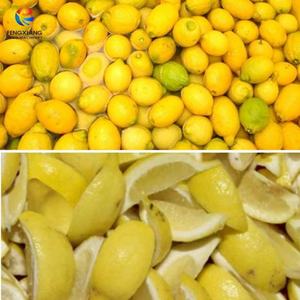 Máquina Segmentadora de Frutas Comercial VS-4 FENGXIANG, 2/4/6/8 Segmentos para Limón, Lima y Naranja, Acero Inoxidable Industrial - Product Image 2