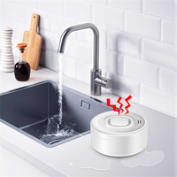 2025 nouvelle arrivée Tuya Wifi alarme de fuite d'eau 100DB fort détecteur de fuite d'eau de sécurité à domicile