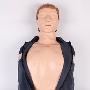 Sinh Viên Đào Tạo Một Nửa Cơ Thể Cpr Mô Hình PVC Máy Vi Tính Tim Hồi Sức Mô Phỏng Y Tế Khoa Học Manikin Cho Đào Tạo CPR - Product Image 4