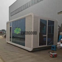 Çin Prefabrik Düşük Maliyetli Emlak Mobil Ev Apple Kabin Porto Riko Modern Önceden Monte Edilmiş Konteyner Evler Satılık