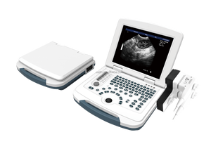 DM CE - Mejor Precio y Venta al por Mayor de Fábrica - Máquina de Ultrasonido Veterinaria Portátil - Escáner de Ultrasonido Clínico para Veterinarios - Product Image 2