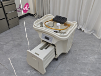 Bac à shampooing portable professionnel sans plomberie avec vapeur et connecteur, lavabo pour le lavage des cheveux en salon de beauté