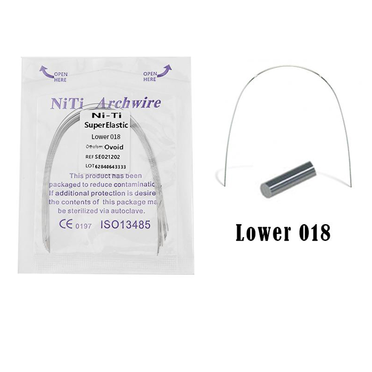 Lower018