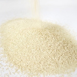 Personnaliser la marque à faible teneur en sucre à haute teneur en sucre super tolérant la cuisson active de pâte à pain sèche instantanée usine de production de levure en poudre - Product Image 1