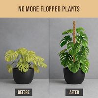 Poteaux de soutien flexibles en fibre de coco et fil d'aluminium pour plantes grimpantes – Fournitures de jardin en gros