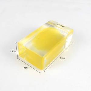 Especímenes incrustados de esponja de Biología Marina educativa - Product Image 2