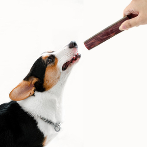 Yeni tasarım köpek diş temizleme sopa sert ve dayanıklı Pet çiğnemek köpek ağız bakımı aperatifler için uygun davranır - Product Image 6