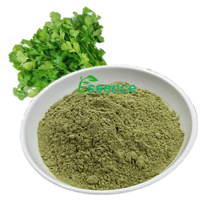Polvo <span class=keywords><strong>de</strong></span> <span class=keywords><strong>cilantro</strong></span> súper alimenticio <span class=keywords><strong>de</strong></span> alta calidad, polvo <span class=keywords><strong>de</strong></span> <span class=keywords><strong>perejil</strong></span>, polvo <span class=keywords><strong>de</strong></span> Coriandrum Sativum - Product Image 2