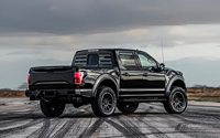 Persienne de fenêtre arrière bricolage pour Ford F-150 2019-2023 Raptor/Lightnin accessoires ABS