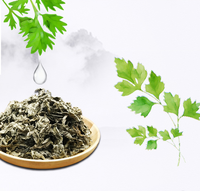 Tampons de nettoyage détox pour pieds à base de plantes naturelles Patch adhésif pour soins des pieds Fourniture de soins de santé Patch pour pieds relaxants