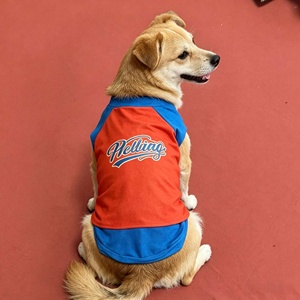 Capa de Superman para Mascotas, Diseño Moderno, Sudadera para Perros y <span class=keywords><strong>Gatos</strong></span> - Product Image 2