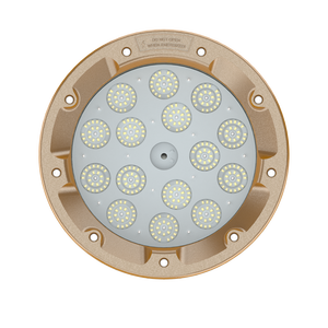 Luminaire anti-explosion en aluminium haute luminosité IP66 pour zone à risque de déflagration, idéal pour laboratoire - Product Image 5
