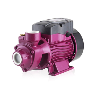 2023 <span class=keywords><strong>QB60</strong></span> 0.37kw 0.5hp pompe à eau propre vortex électrique spécifications - Product Image 2