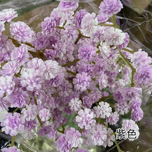 La migliore vendita di singoli veri touch Babysbreath fiori artificiali all'ingrosso fiori per matrimonio fiori di nozze - Product Image 1