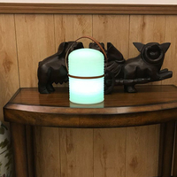 Lampe décorative LED portable moderne à piles, télécommandée, avec abat-jour en métal et corps en plastique, 16 couleurs changeantes, produits rotomoulés, vente chaude