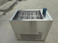 Commerciële machine voor het maken van gepersonaliseerde ijslollyvormen voor handgemaakte fruit- en melkijslollies