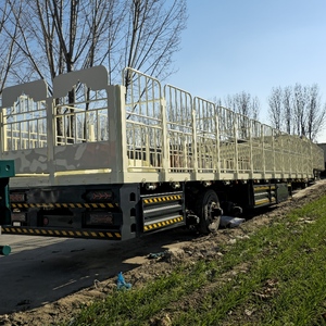 Nouvelle clôture de semi-<span class=keywords><strong>remorque</strong></span> <span class=keywords><strong>pour</strong></span> le transport d'animaux de cargaison Transport de bétail Vente de transporteur de bétail de <span class=keywords><strong>remorque</strong></span> de camion d'<span class=keywords><strong>occasion</strong></span> - Product Image 3