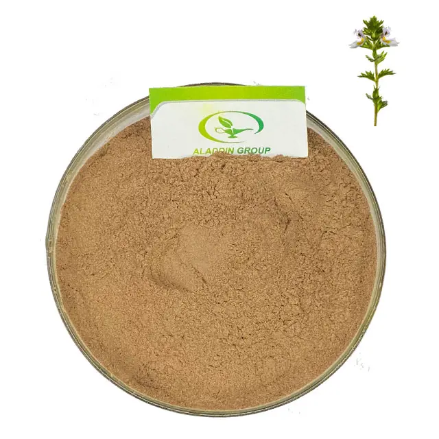 HALAL best price quality euphrasia extract eyebright herb extract powder eyebright extract