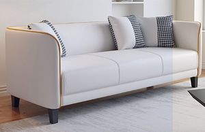 Moderno Simple 2025 Sofá Doble para Sala de Estar Salón de Belleza Pequeño Apartamento Alquiler-Nuevo Subsidio - Product Image 6