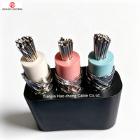 Kabel Submersible Datar JHSBP dengan Pelindung Anyaman Berisolasi EPR 450/750V untuk Motor Sumur Dalam