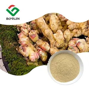 Supplement 10:1 20:1 Dried Ginger Extract Powder Ginger Root Extract