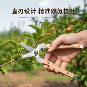 Garden <b>Pruning</b> Shears Carbon Steel Straight Headed Bird Beak For Fruit <b>Tree</b> Flower Trimming Garden <b>Tools</b> - Product Image 3