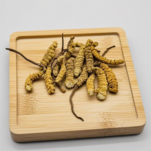 Bagian pabrik langsung dari ulat penjualan <span class=keywords><strong>Cordyceps</strong></span> Sinensis Dong Chong Cao Sinensis penggunaan medis bumbu tunggal & herbal - Product Image 2