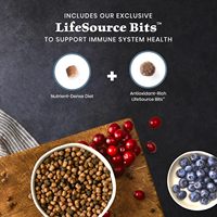Nourriture sèche pour chats adultes Blue Buffalo Wilderness au poulet, nourriture pour chats sans céréales