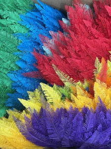 Plumas de avestruz de Carnaval Pluma de avestruz de gran tamaño Venta caliente Avestruz natural <span class=keywords><strong>Nandu</strong></span> para decoración de ropa Carnaval - Product Image 3