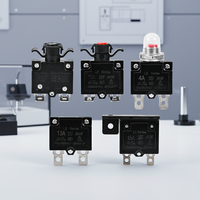 Disjoncteur Topstone L3 3-16A 1Polaire Protection Thermique Réinitialisation Automatique Interrupteur Manuel MCB Boîtier Métallique pour Véhicules Électriques et Télécommunications