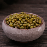 Haute qualité germination haricot mungo vert Offre Spéciale-vente en gros en vrac