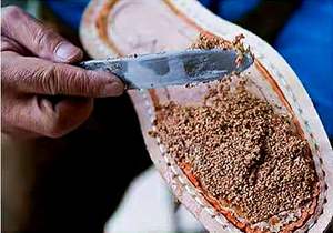 טבעי שבור קורק גרגיר חומר חומר עץ אלון פקק - Product Image 5