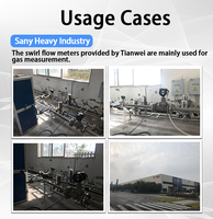 Vortex Flowmeter Factory with 20 Years Export Experience for Gas Liquid