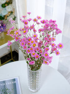 AX-13 2021 producto más vendido rodanthe Margarita flores secas conservadas Margarita conservada para la decoración del hogar - Product Image 3