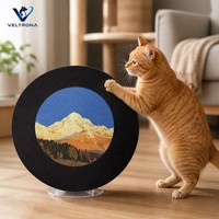 Planche à gratter pour chat en carton ondulé, forme de disque vinyle, sans débris, écologique pour les chats