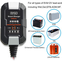 Chargeur de batterie intelligent BYGD 3 étapes 1A 15W 6V/12V pour batteries LiFePO4/AGM/EFB/GEL/Plomb-Acide, en ABS ignifuge pour voiture