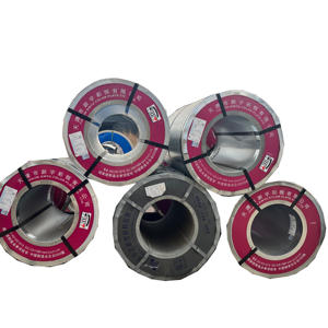 Bobine d'acier galvanisé prépeint PPGI en promotion, bobine d'acier galvanisé prélaqué pour la construction industrielle - Product Image 4