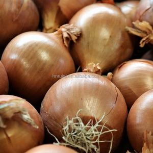 Hành tây vàng tươi khô hành lá hữu cơ mất nước lát khô - Product Image 5