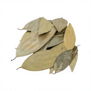 <span class=keywords><strong>Feuilles</strong></span> <span class=keywords><strong>de</strong></span> <span class=keywords><strong>Laurier</strong></span> Fraîches Entières <span class=keywords><strong>de</strong></span> Qualité Supérieure, Meilleures Ventes, Approvisionnement en Gros pour l'Exportation, <span class=keywords><strong>Feuilles</strong></span> <span class=keywords><strong>de</strong></span> <span class=keywords><strong>Laurier</strong></span> Aromatiques <span class=keywords><strong>de</strong></span> Qualité Alimentaire pour le Commerce B2B - Product Image 5