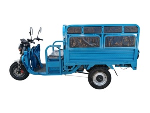 รถสามล้อไฟฟ้าสำหรับทุกเพศทุกวัย รุ่น FAST BEST แข็งแรงทนทาน พร้อมห้องเก็บของ สำหรับบรรทุกสัมภาระ เหมาะสำหรับผู้ใหญ่ - Product Image 1