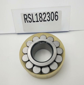 Rodamiento de Caja de Cambios 30x62.3x27mm <span class=keywords><strong>RSL</strong></span> 182306 Rodamientos de Rodillos Cilíndricos de Complemento Completo RSL182306-A - Product Image 1