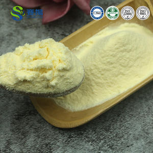 100%天然浓缩橙汁果粉水果饮料风味橙粉有机橙汁粉 - Product Image 5