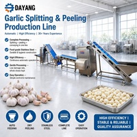 Ligne de production d'ail DY, facile à utiliser, haute productivité, en acier inoxydable, machine à éplucher l'ail 300-4000 kg/h, pour le commerce
