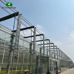 GT Landwirtschaft Photovoltaik benutzer definierte China Großhandel Glas transparente Solarmodule für Gewächs häuser
