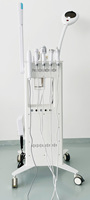 F-9902 Vertical 16 in 1 Multifunctional Facial Machine Wood Lamp Hot Facial Steamer Face Lifting Machine