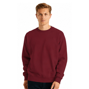 Sweat-shirt pour homme avec logo personnalisé, décontracté, chaud pour l'hiver, de qualité supérieure, en polyester et coton, vente en gros, OEM - Product Image 6