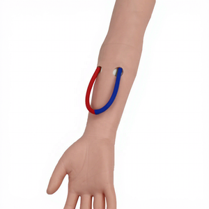 Modelo de Brazo para Entrenamiento de Punción e Inyección de Fístula Arteriovenosa, Simulación Anatómica de Hemodiálisis, Maniquí Médico para Entrenamiento - Product Image 2